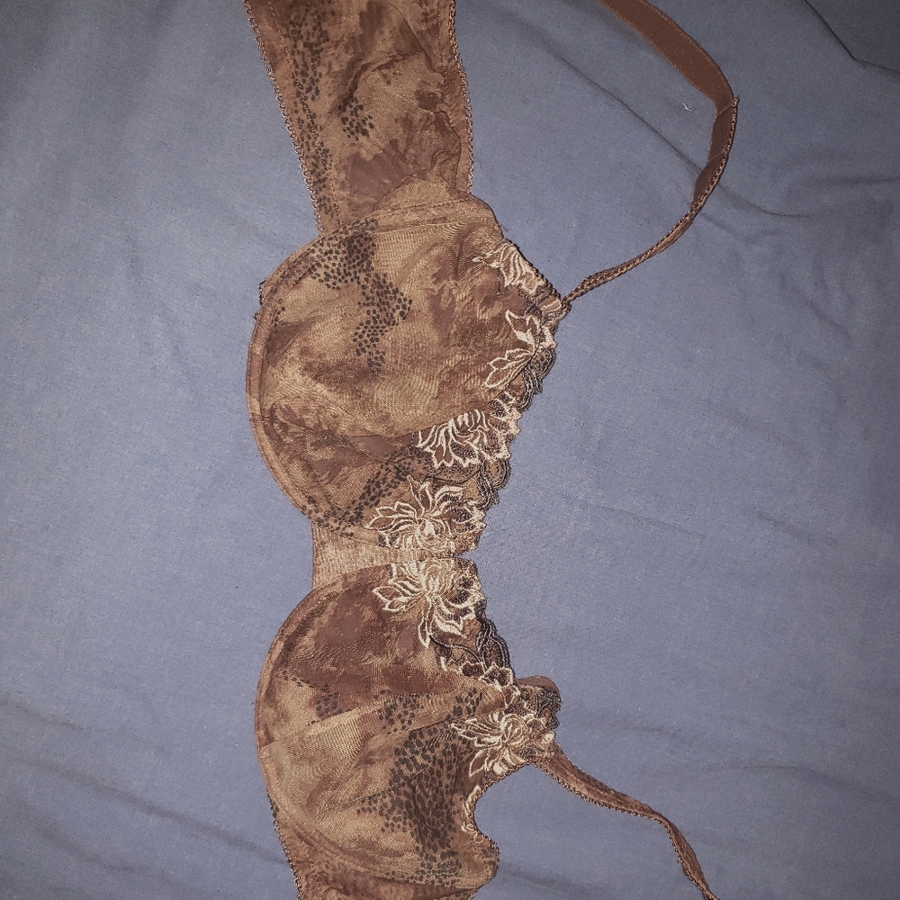 40dd bra